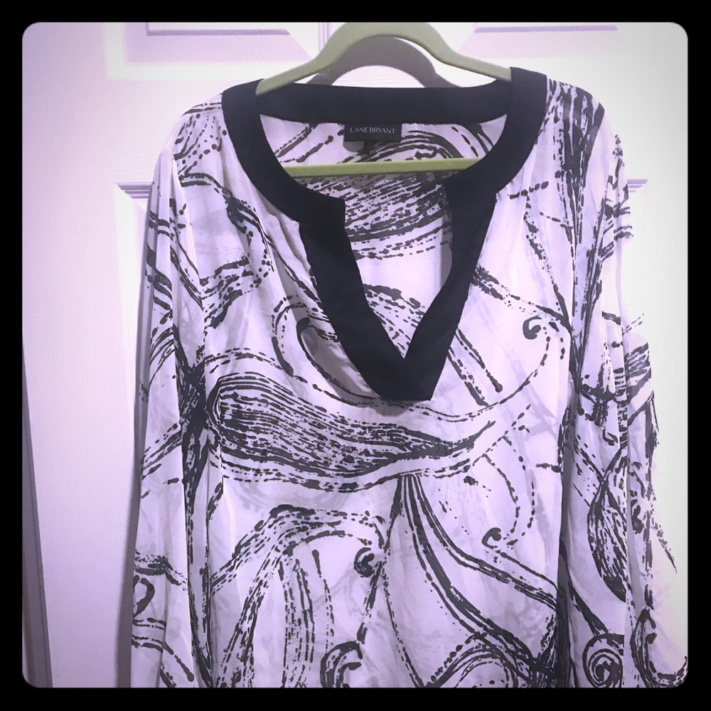 Sheer Blouse